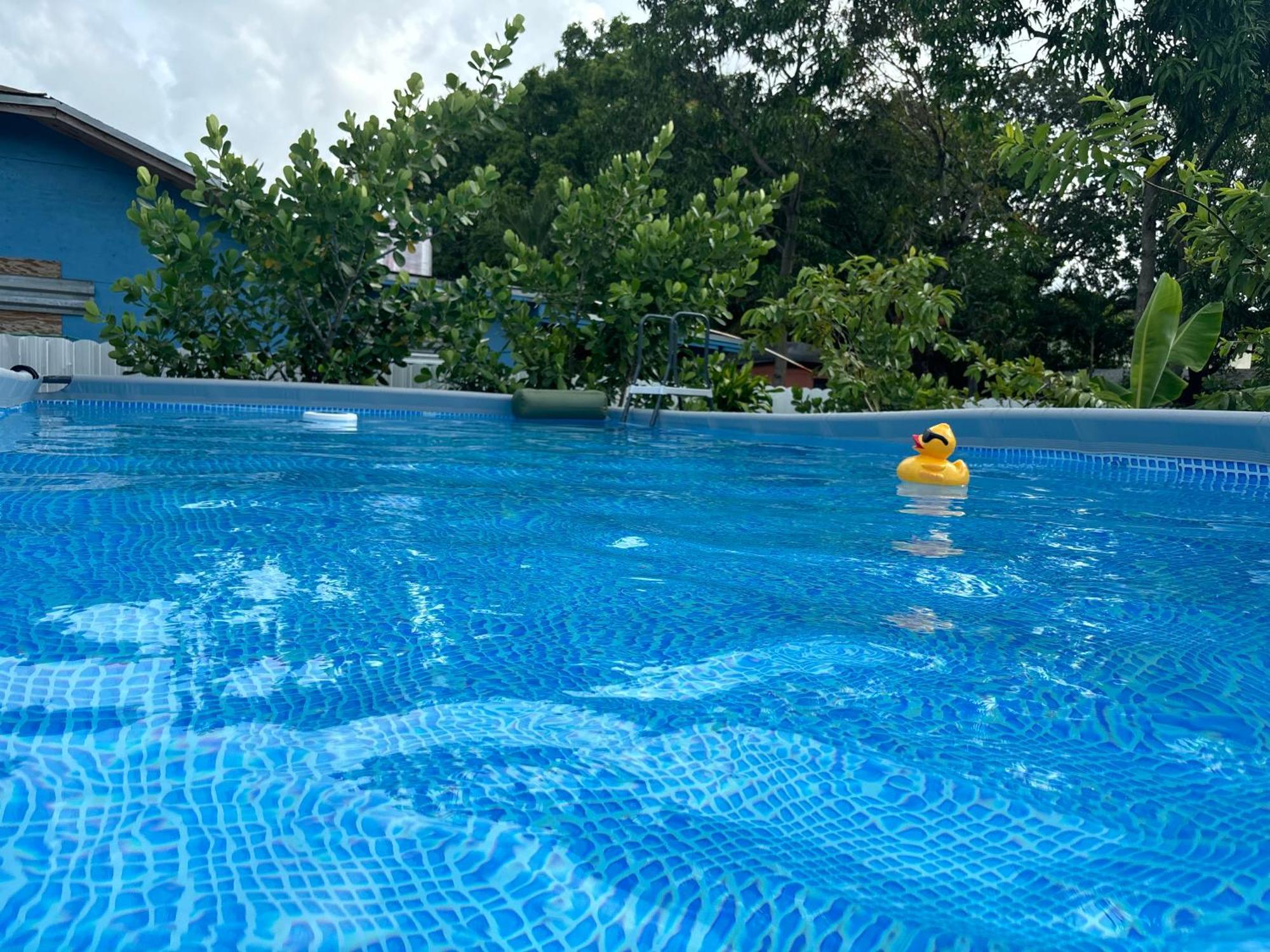 Mini House Oasis Hotell Miami Springs Eksteriør bilde